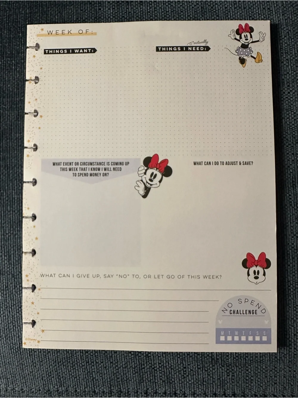 Disney Happy Planner happy planner